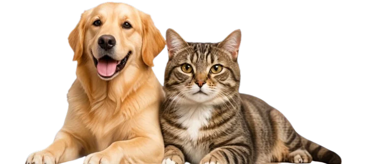 Pet Care Products Manufacturing - Dog and Cat