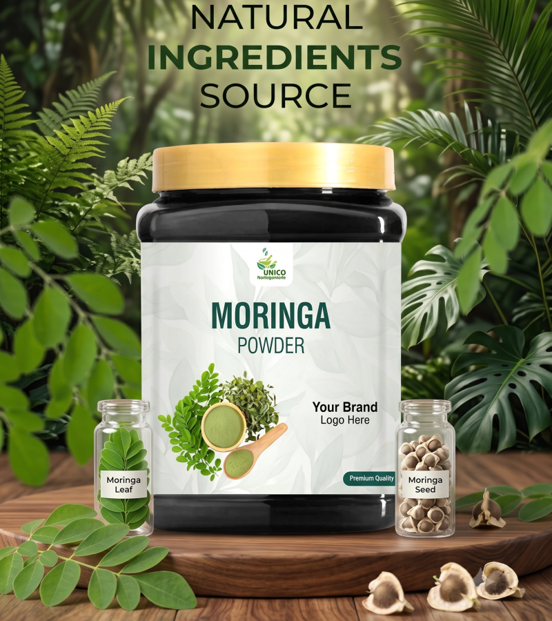 A black jar of UNICO Moringa Powder on a wooden table in a forest setting, flanked by small glass vials of moringa leaves and seeds.